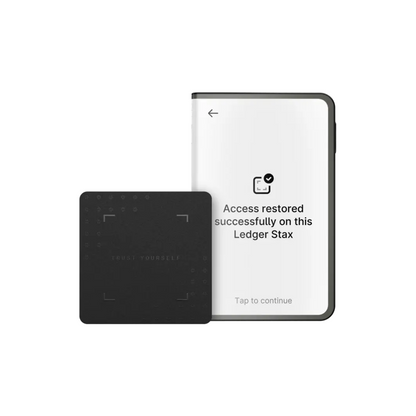 Ledger Stax Hardware Wallet - Black